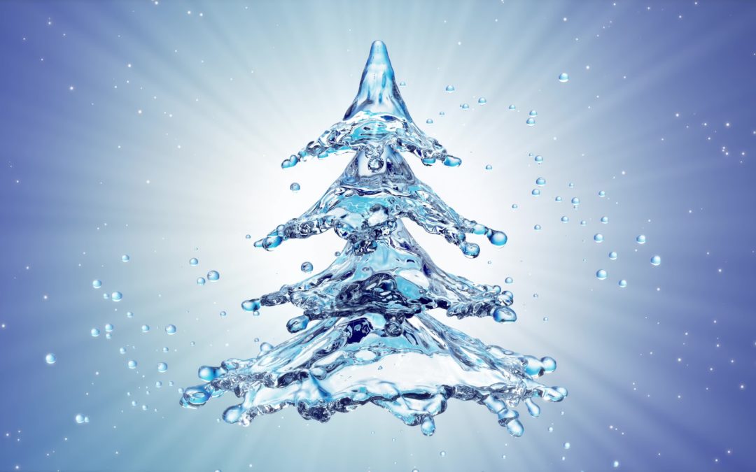 Which water habits are you inviting into your home this holiday season?