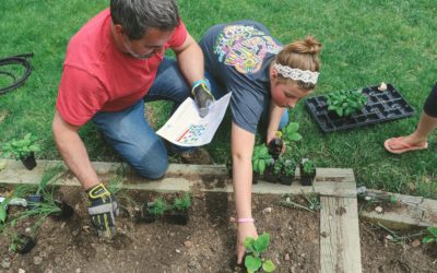 Don’t miss out: Garden in a Box kits on sale March 1