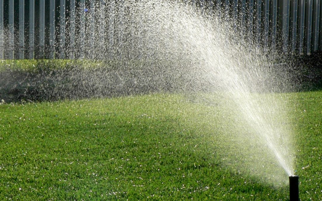 An Insider’s Guide to Sprinkler Checkups