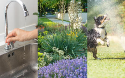 11 Tips for Water Conservation in Colorado this Summer