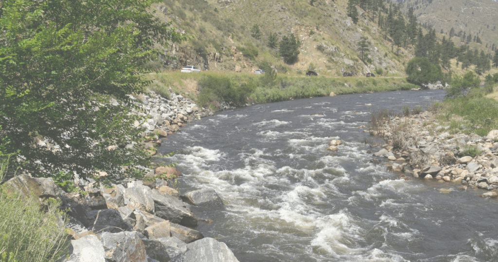 Image of river with rocks and trees on the river bank.